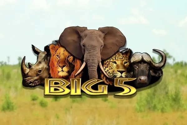 Big 5
